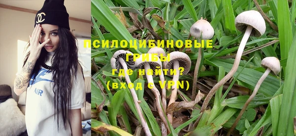 ПСИЛОЦИБИНОВЫЕ ГРИБЫ Алексеевка