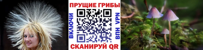 Псилоцибиновые грибы GOLDEN TEACHER  Харовск 